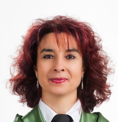 Il Quadro delle competenze digitali e la loro certificazione nella regione spagnola della Galizia*