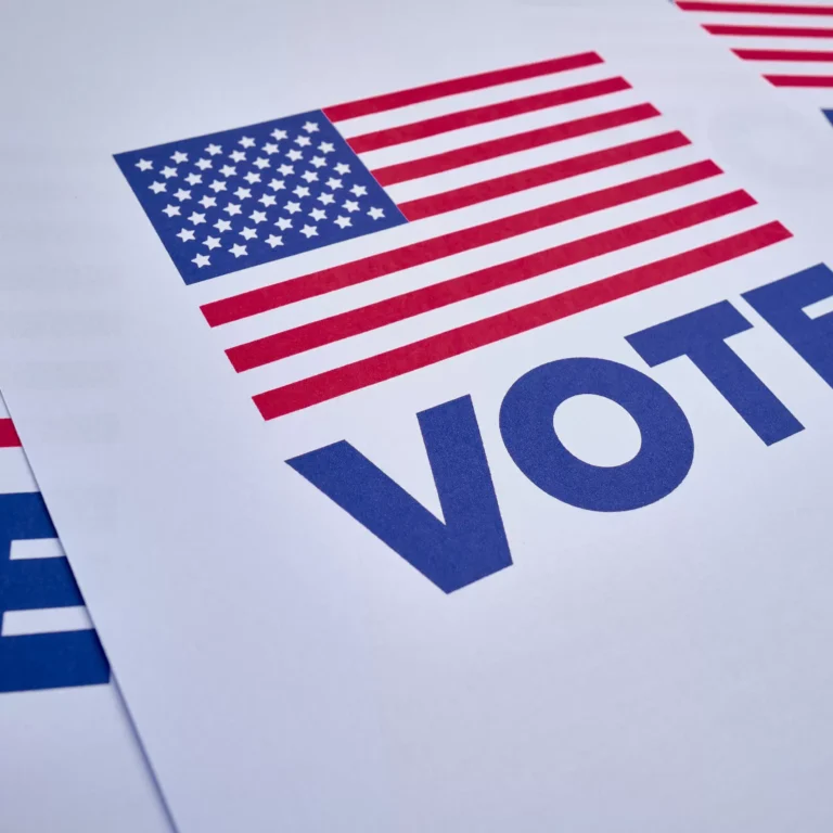 Nel caleidoscopio delle elezioni USA: lavori, territori, famiglie
