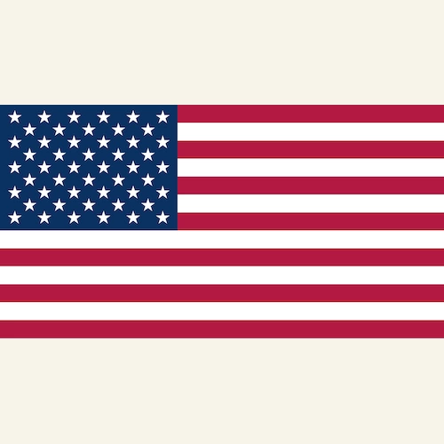 Disintermediare stanca. Spunti dalle ultime elezioni americane